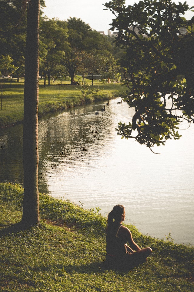 Cultivating Resilience: Strategies for Overcoming Adversity